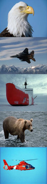 eagle, fighter, coast guard, bear, helicopter